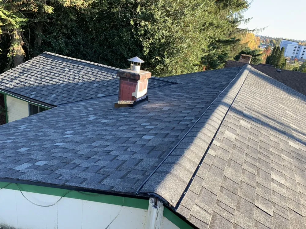 Slide of Roof It All