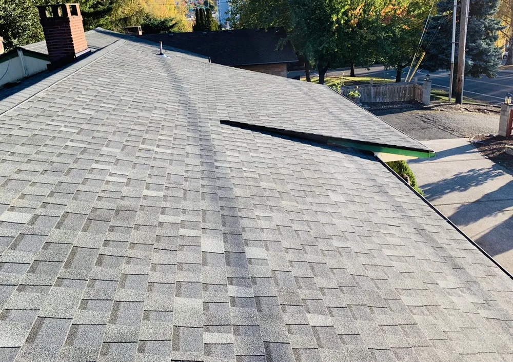 Slide of Roof It All