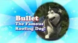 Slide of Roof It Right