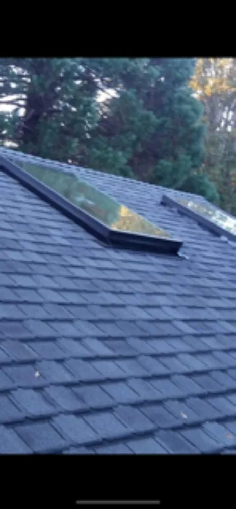 Slide of Roof Kings