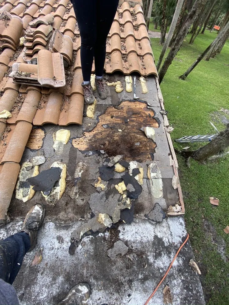 Slide of Roof Leak Hunters