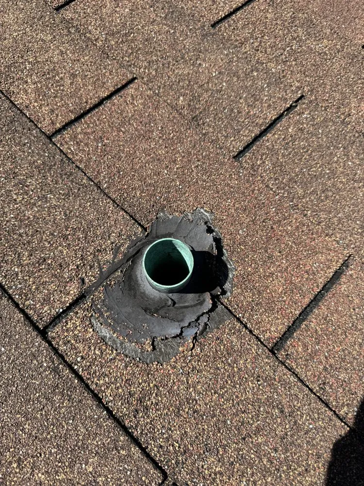 Slide of Roof Leopard