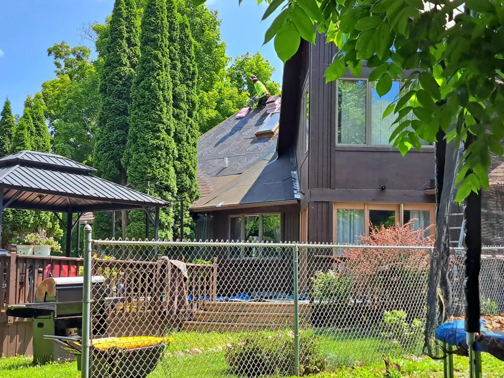 Slide of Roof Leopard