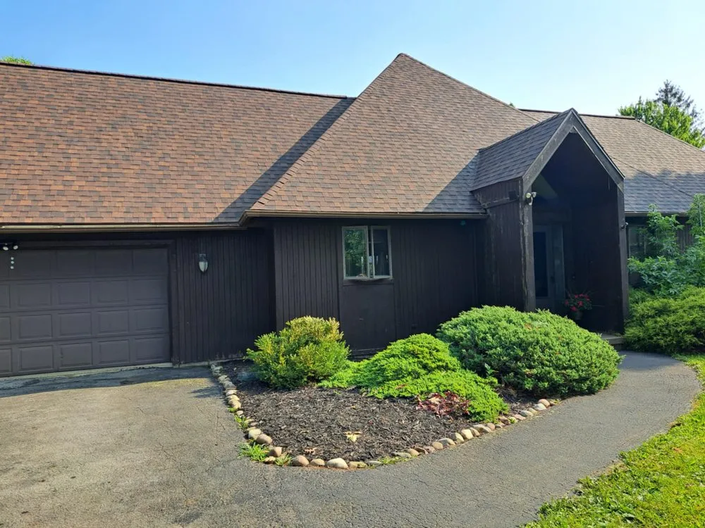 Slide of Roof Leopard