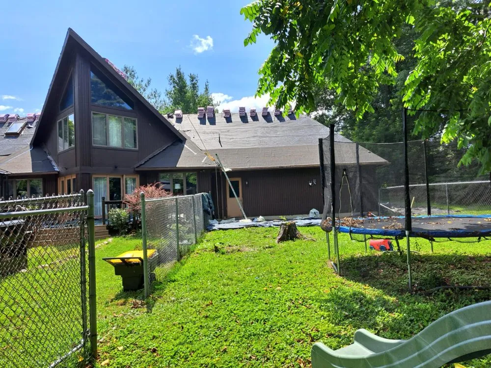 Slide of Roof Leopard