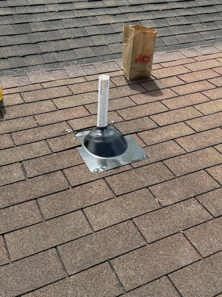 Slide of Roof Leopard