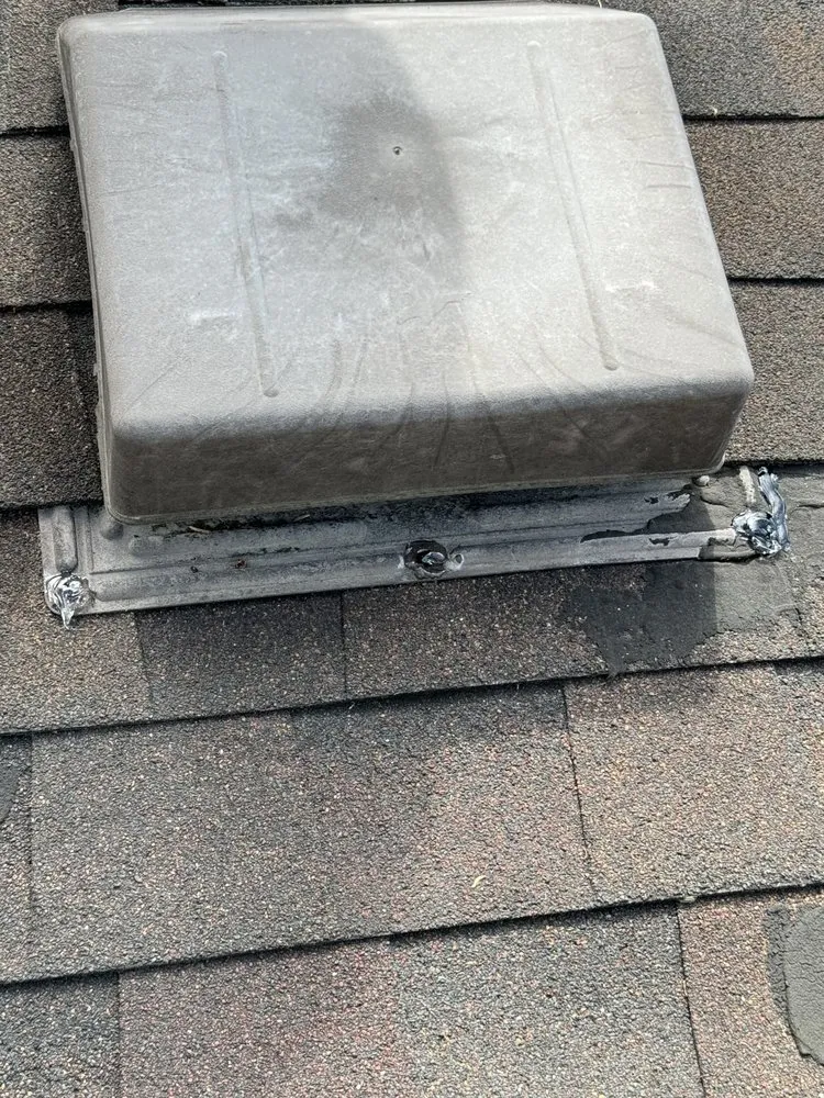 Slide of Roof Leopard