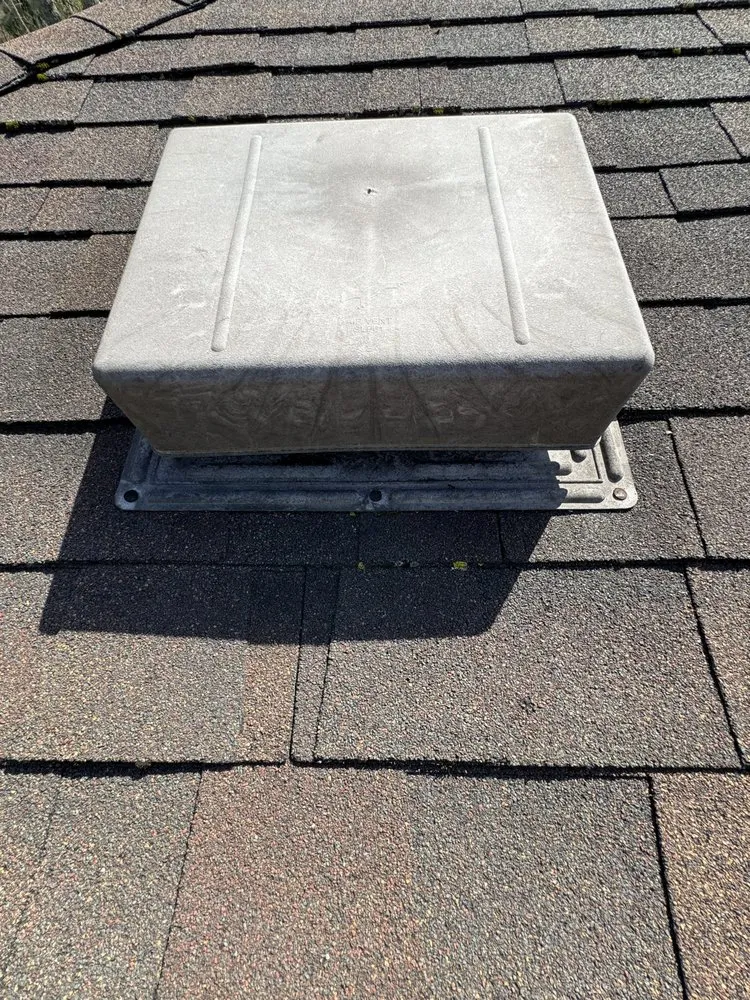 Slide of Roof Leopard