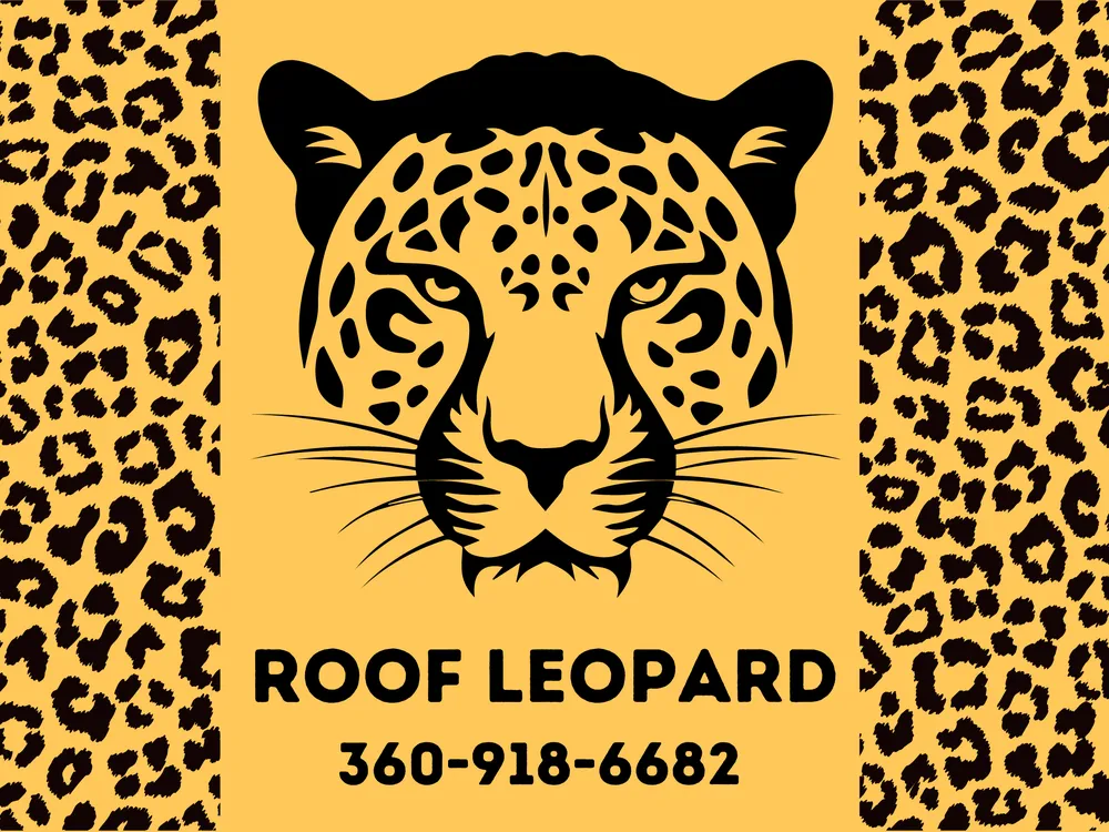 Slide of Roof Leopard