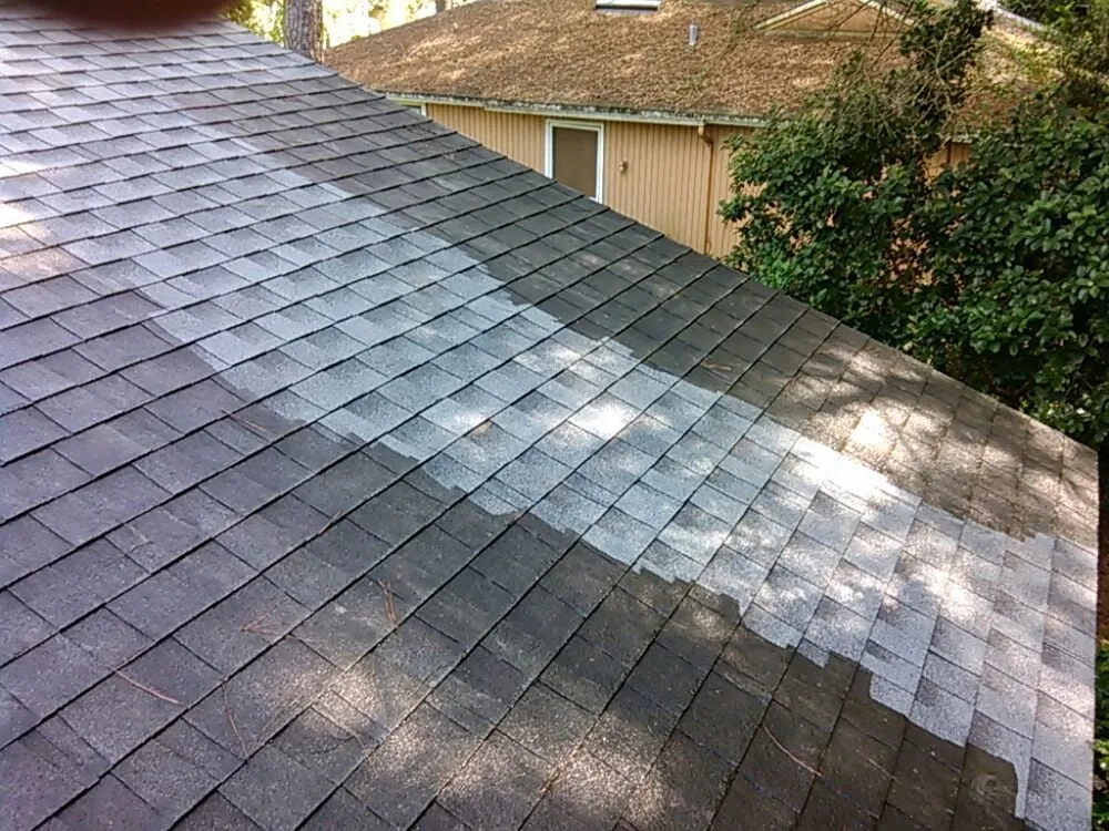 Slide of Roof Life Jax