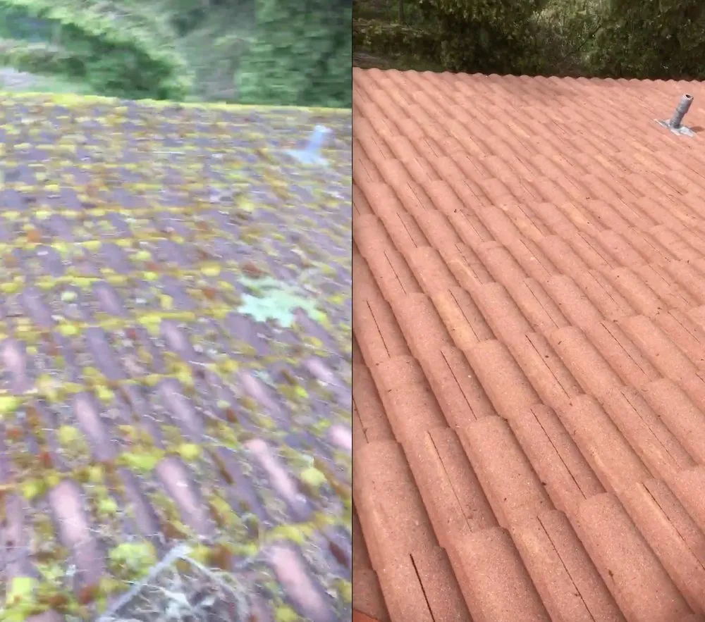 Slide of Roof Life Of Oregon