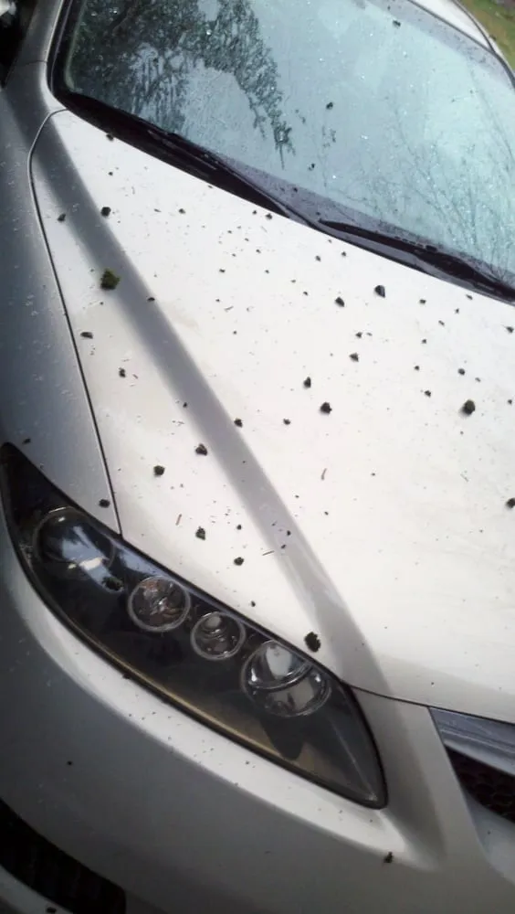 Slide of Roof Life Of Oregon