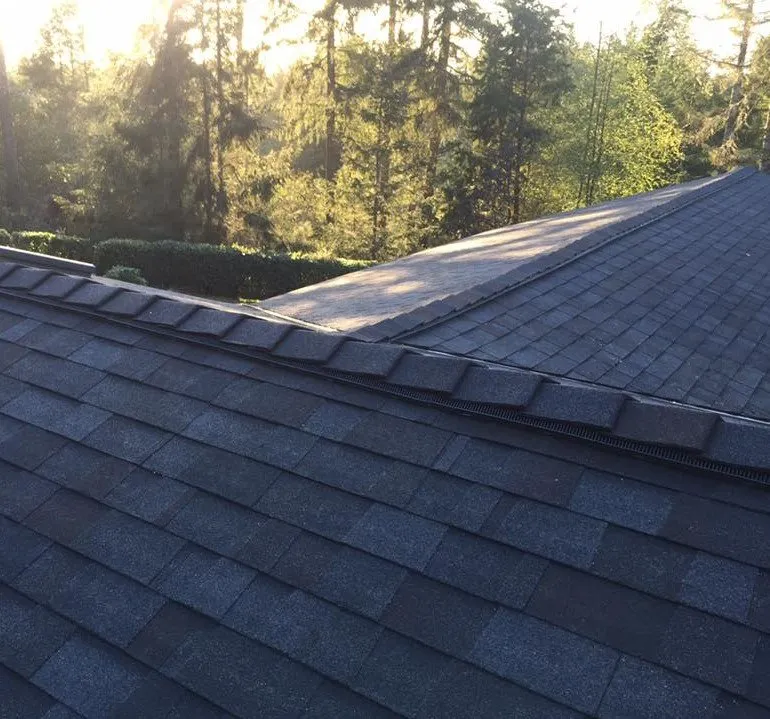 Slide of Roof Logic Systems