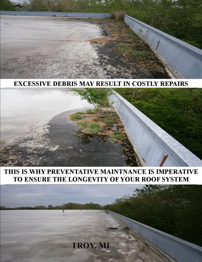 Slide of ROOF Management