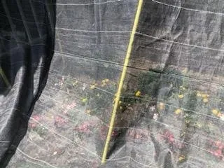 Slide of Roof Masters Roofing Solutions