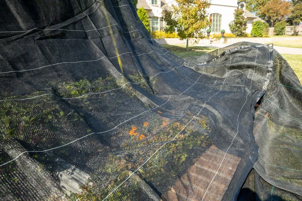 Slide of Roof Masters Roofing Solutions