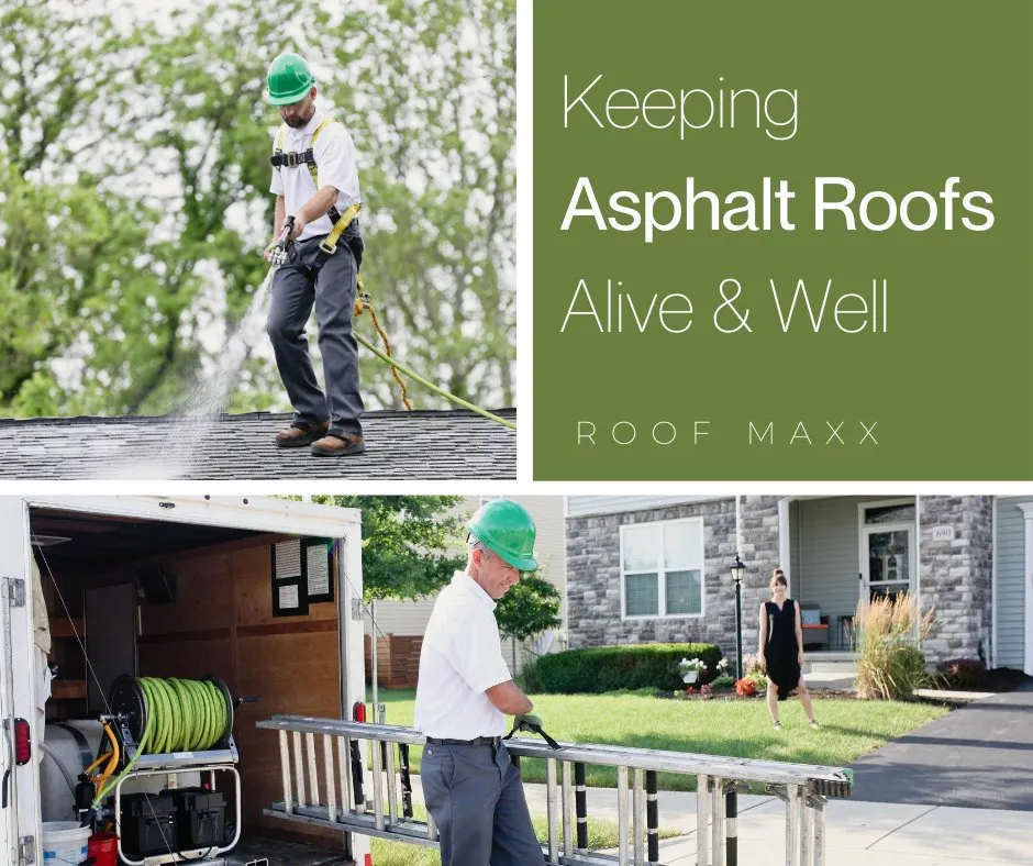 Slide of Roof Maxx - Charlottesville