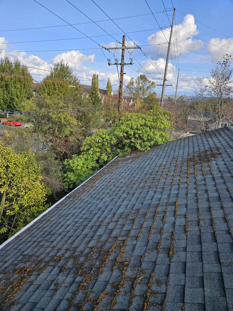 Slide of Roof Maxx of Edmonds