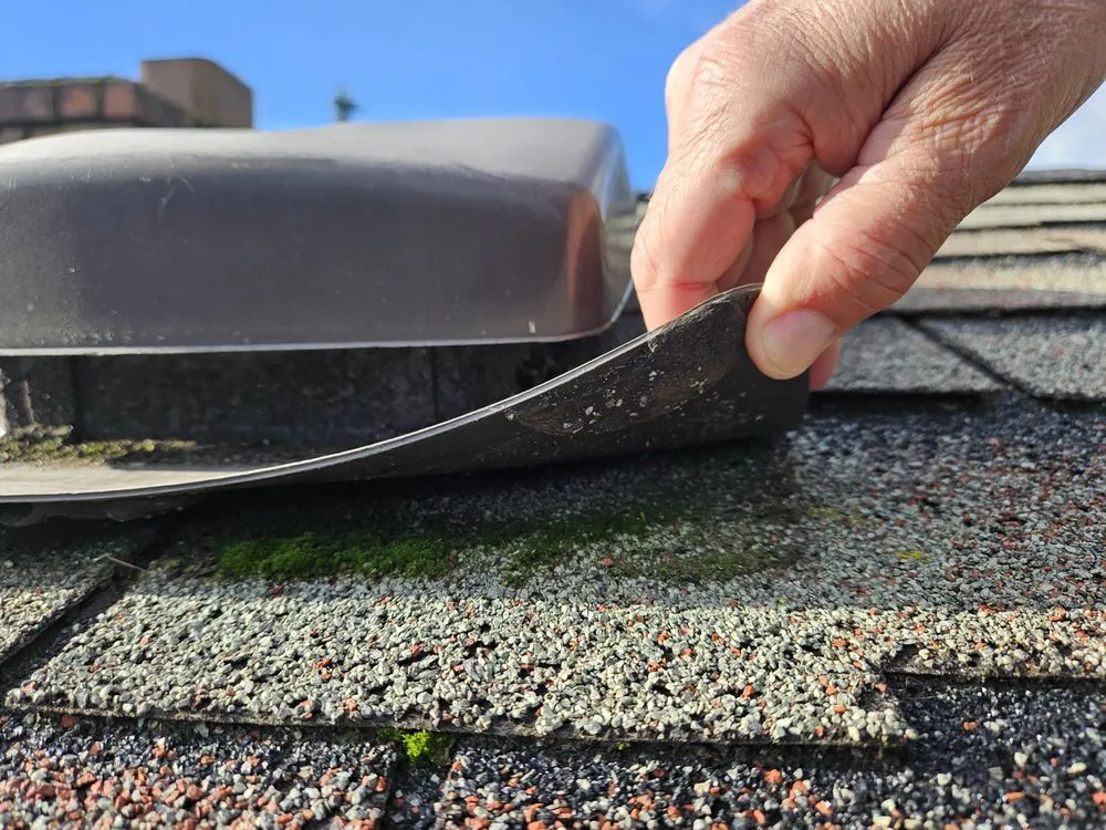 Slide of Roof Maxx of Edmonds
