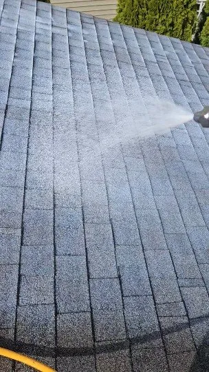 Slide of Roof Maxx of Edmonds