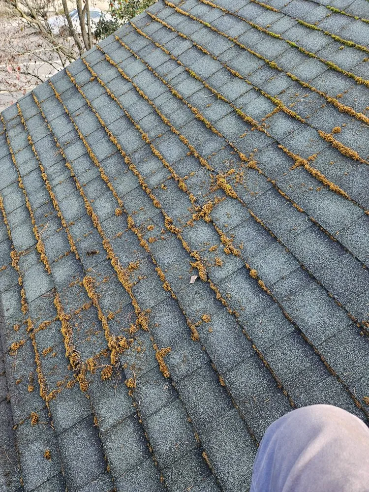 Slide of Roof Maxx of Edmonds