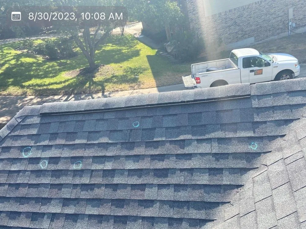 Slide of Roof Monkey