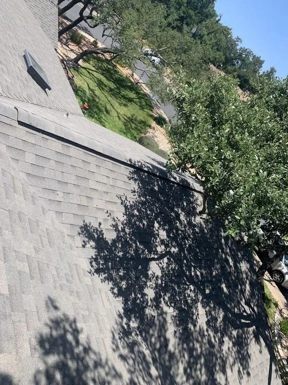 Slide of Roof Monkey