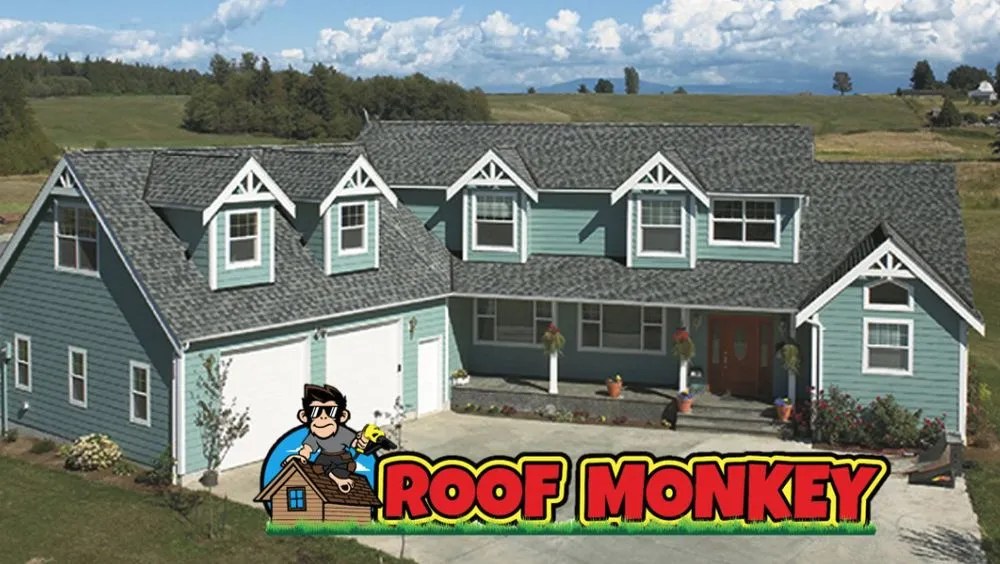 Slide of Roof Monkey