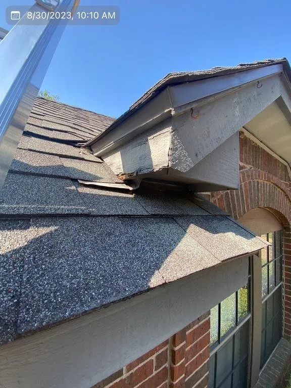 Slide of Roof Monkey