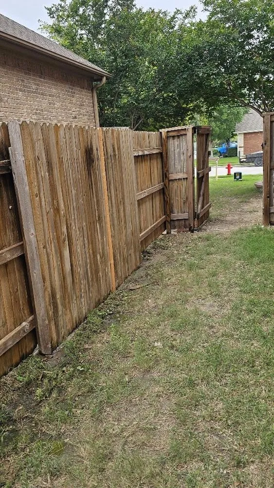 Slide of Roof Monkey