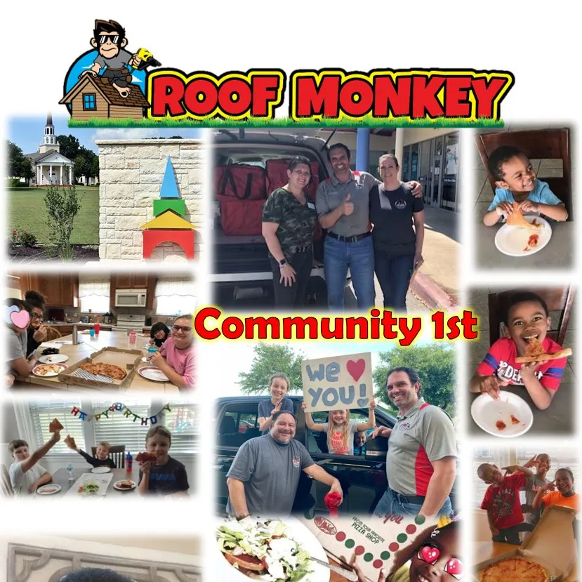 Slide of Roof Monkey