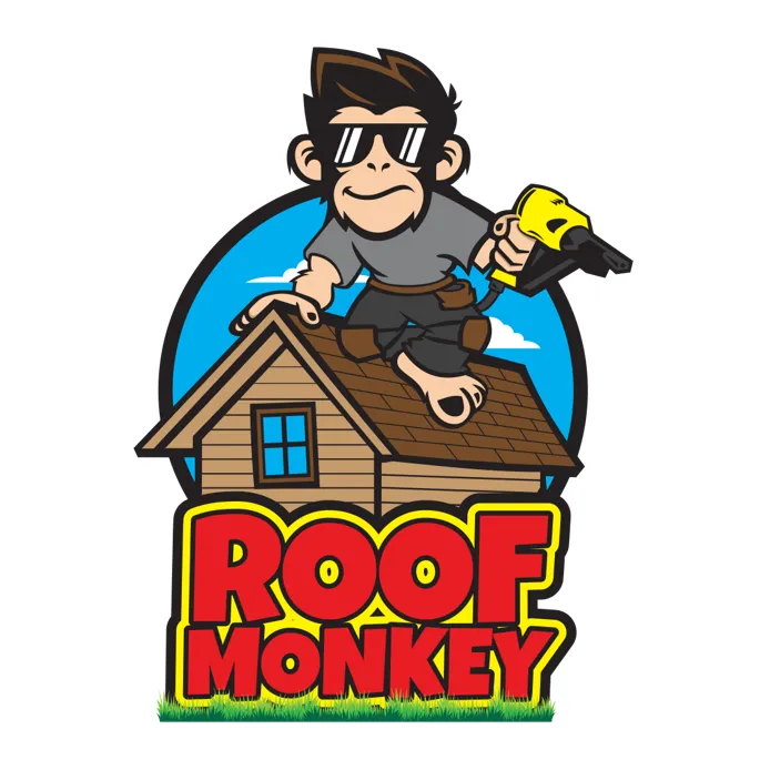 Slide of Roof Monkey