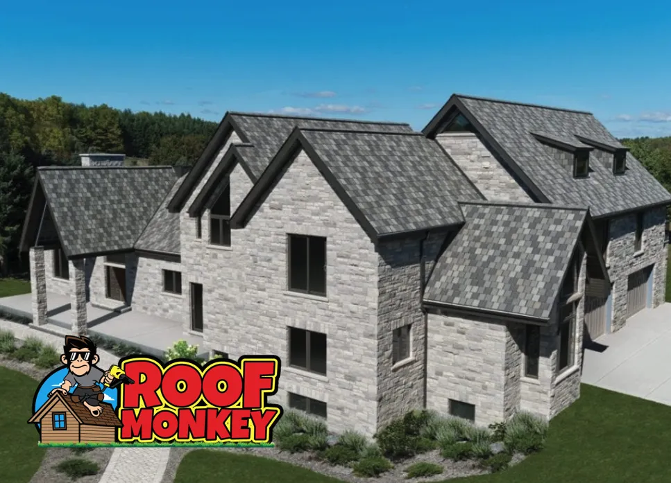 Slide of Roof Monkey