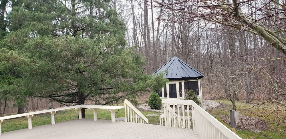 Slide of Roof Monkey