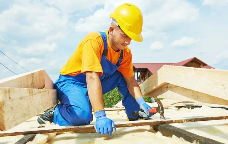 Slide of Roof Monkey