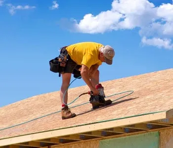 Slide of Roof Monkey