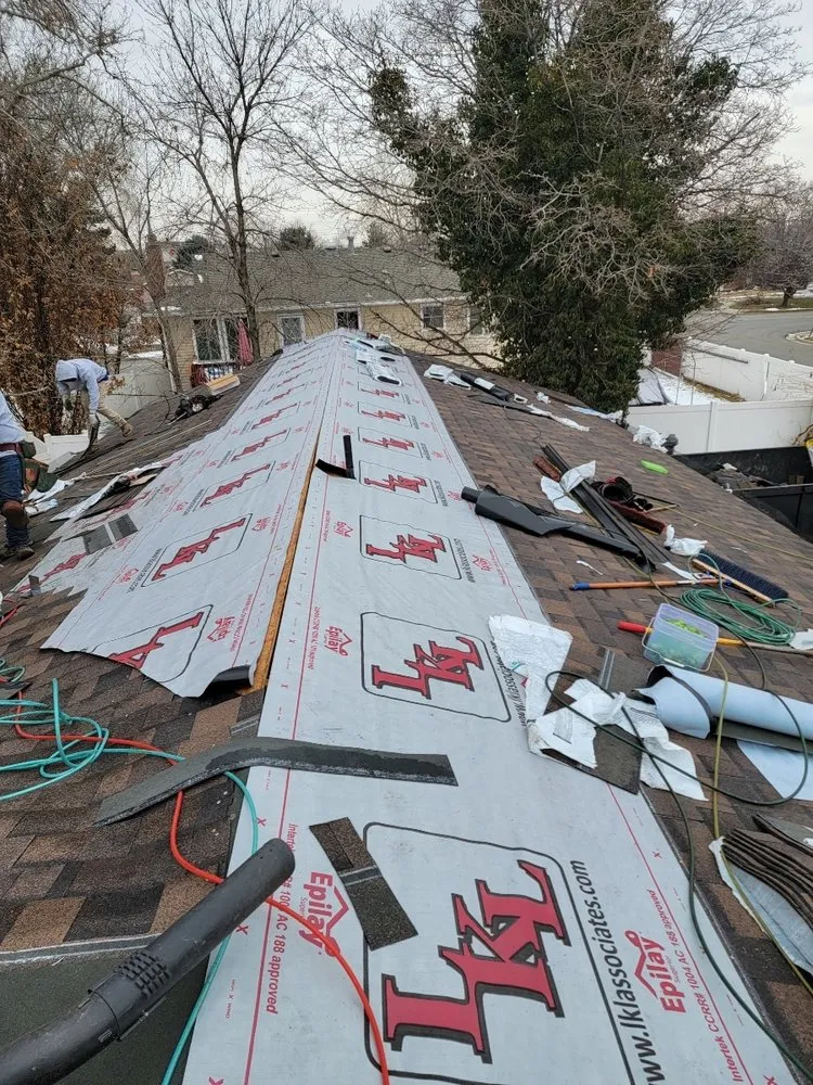 Slide of Roof Monster