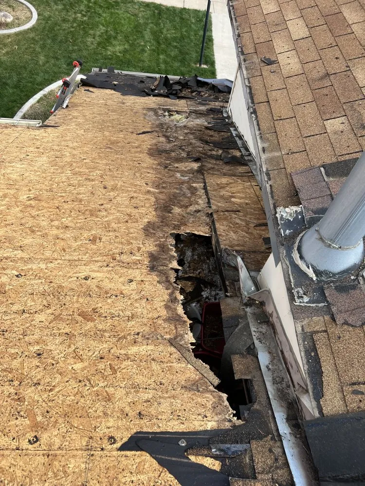 Slide of Roof Monster