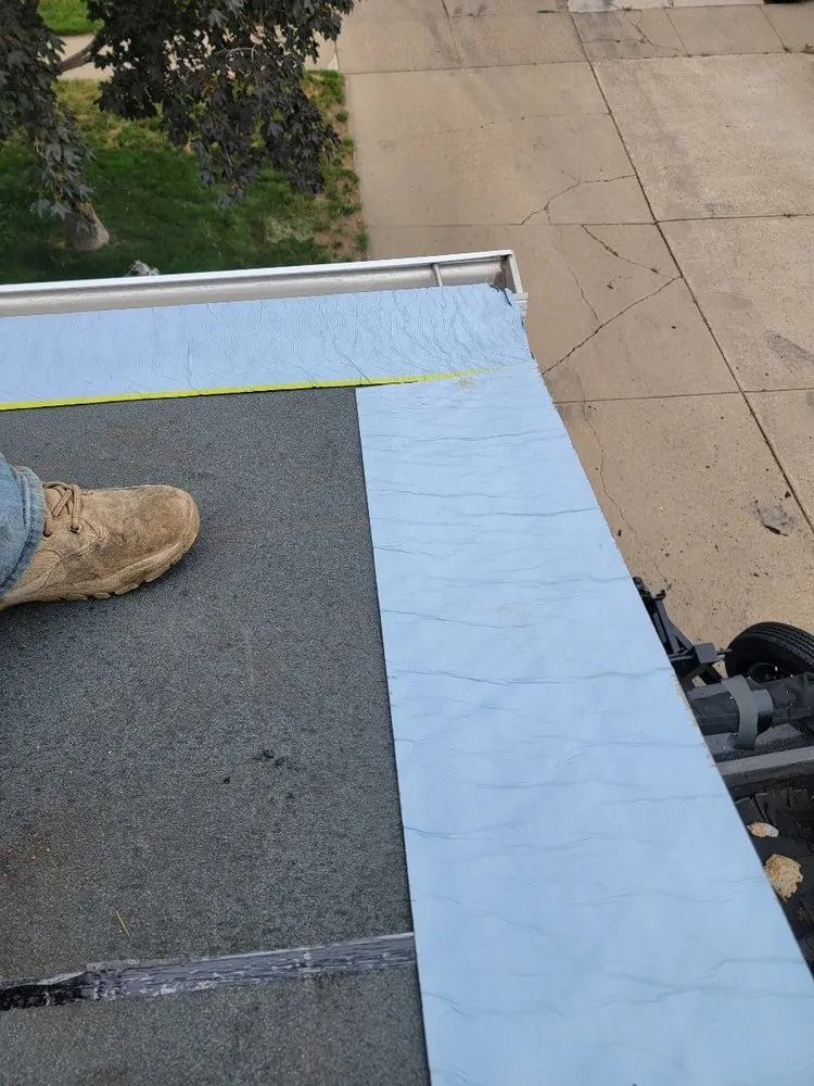 Slide of Roof Monster