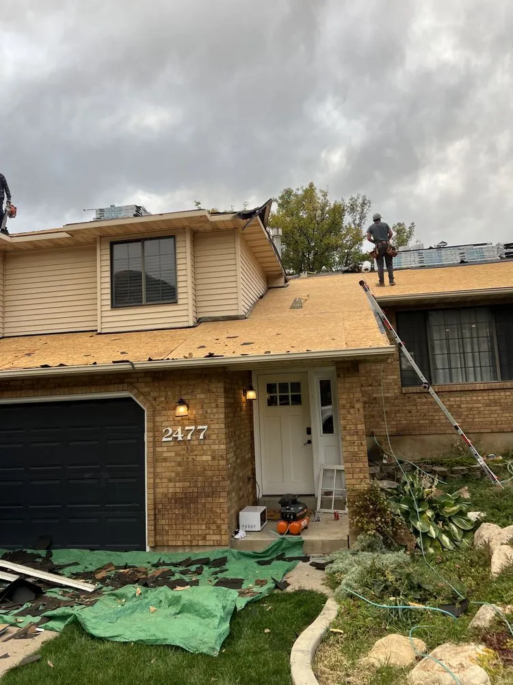 Slide of Roof Monster