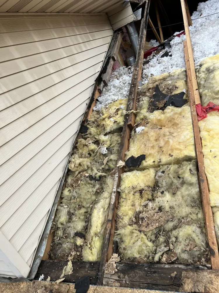 Slide of Roof Monster