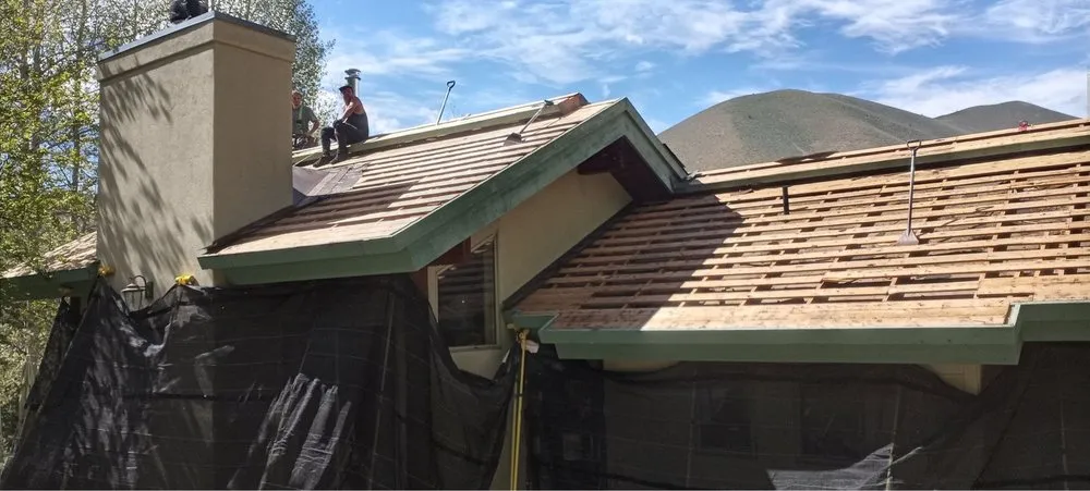 Slide of Roof Monster