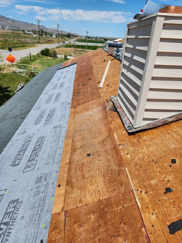 Slide of Roof Monster