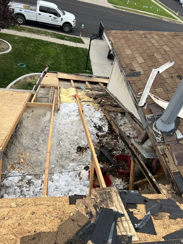 Slide of Roof Monster