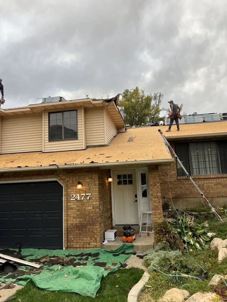 Slide of Roof Monster