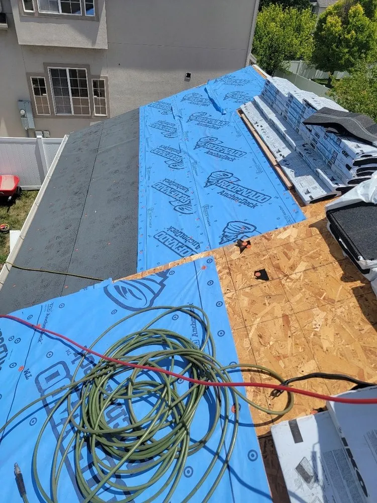 Slide of Roof Monster