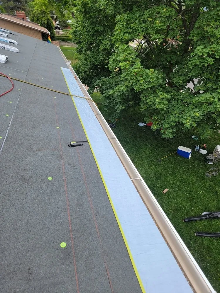 Slide of Roof Monster