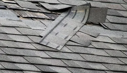 Slide of Roof Nation