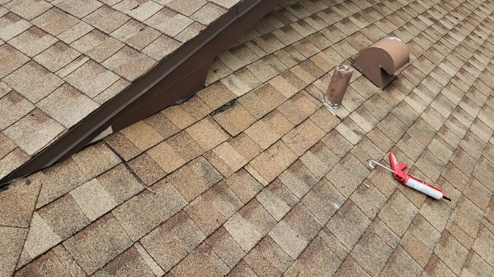 Slide of Roof Nation