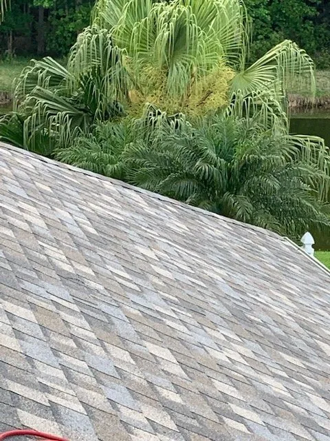 Slide of Roof Nation